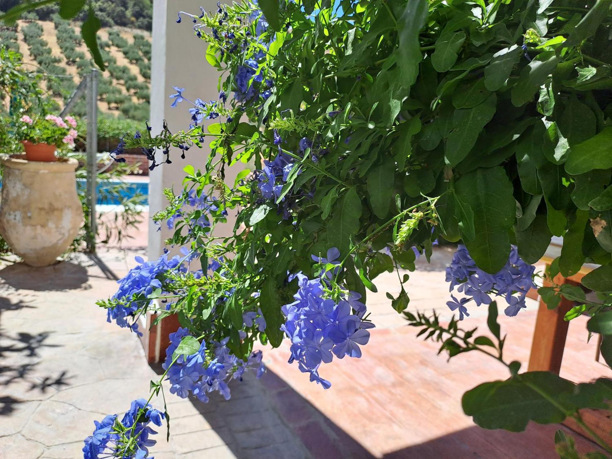 Villa Cortijo Berruguilla à Lojilla Extérieur photo